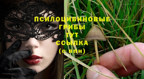 МДПВ Краснотурьинск