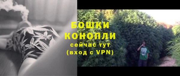 спайс Корсаков