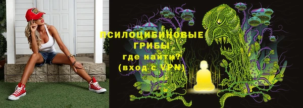 стафф Краснослободск