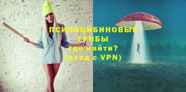гидра Коряжма