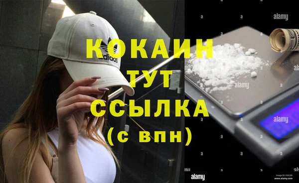 стафф Краснослободск