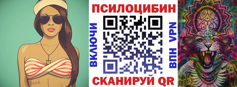 Псилоцибиновые грибы Cubensis  Купить  Заозёрск 